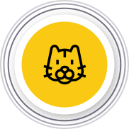 Redes de Proteção para Gatos