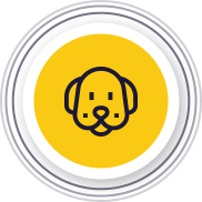 Redes de Proteção para Pets